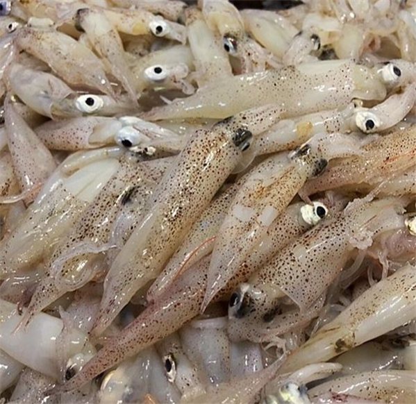 Puntillita 500grs-detalle