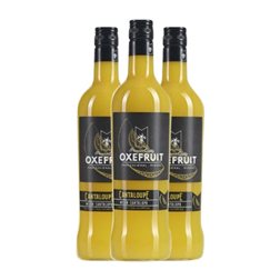 Puré de Frutas para Cóctel Oxefruit 70 cl Sin Gluten, Sin Lactosa, Vegano Melón (Caja de 3 unidades)