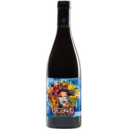 PVidal Big Bang 2022