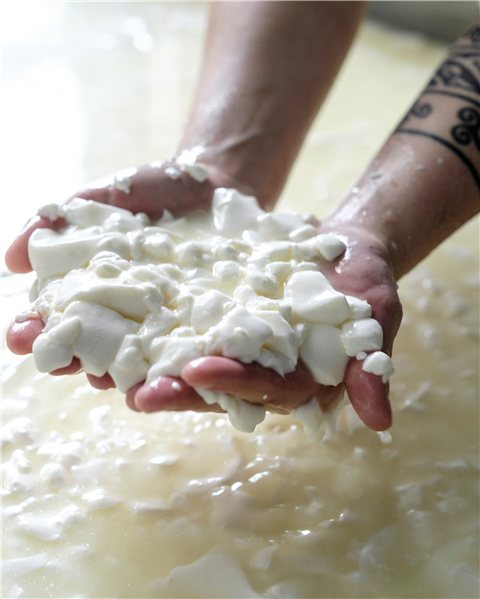 Queso azul ecológico CampoBio 250 g-izquierda