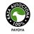 Aged goat cheese from Payoya goat (wedge) / Silver Medal WCA 2023-24-lateral