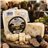 Sheep Cheese with Truffles – Bici Dehesa Negra-lateral