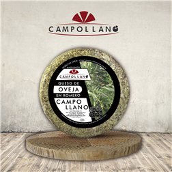 Schafskäse in Rosmarin gereift