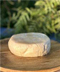 Queso Madurado de Cabra en AOVE