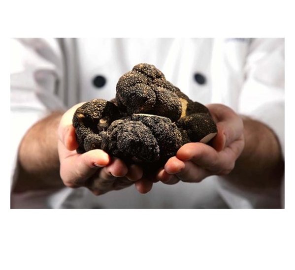 Fromage de brebis artisanal avec truffe (part)-detalle