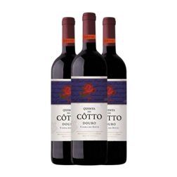 Quinta do Côtto Vinha do Dote Porto Crianza 75 cl Vino Tinto (Caja de 3 unidades)