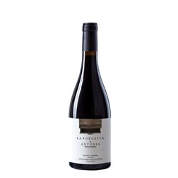 Rafael Cambra La Forcalla de Antonia 2024