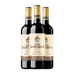 Ramón de Ayala Lete Viña Santurnia Seco Rioja Reserva 75 cl Vino Tinto (Caja de 3 unidades)