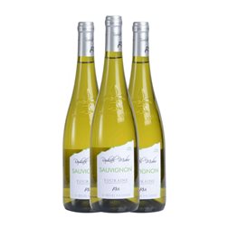 Raphael Midoir Sauvignon Trocken — Seco Touraine 75 cl Vino Blanco (Caja de 3 unidades)