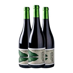 Recuero Antier Albillo Seco Vintage 75 cl Vino Blanco (Caja de 3 unidades)