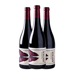 Recuero Antier Rufete Seco Vintage 75 cl Vino Tinto (Caja de 3 unidades)