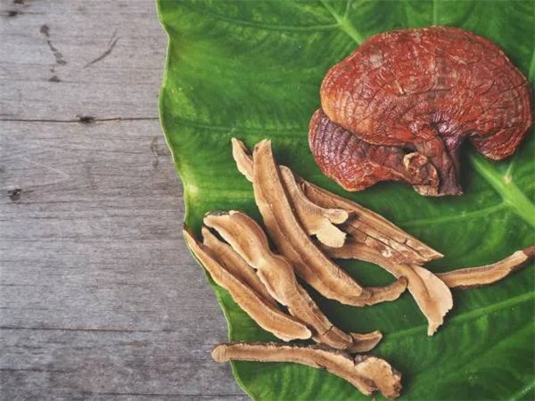Organic Reishi Powder - 100g-lateral