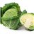 Repollo rizado unidad