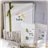 Reset & Focus - Pack Detox y Matcha