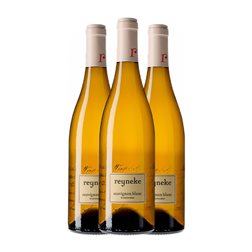 Reyneke Biodynamic Sauvignon Stellenbosch Organic — Ecológico 75 cl Vino Blanco (Caja de 3 unidades)