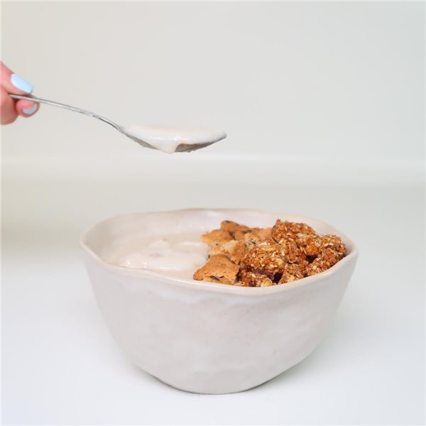 Rice Cream Cookie Dough 500g-detalle
