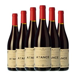 Risky Grapes Atance Bobal Valencia 75 cl Vino Tinto (Caja de 6 unidades)