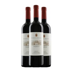 Rizzardi Pojega Valpolicella Ripasso Classico Superiore 75 cl Vino Tinto (Caja de 3 unidades)