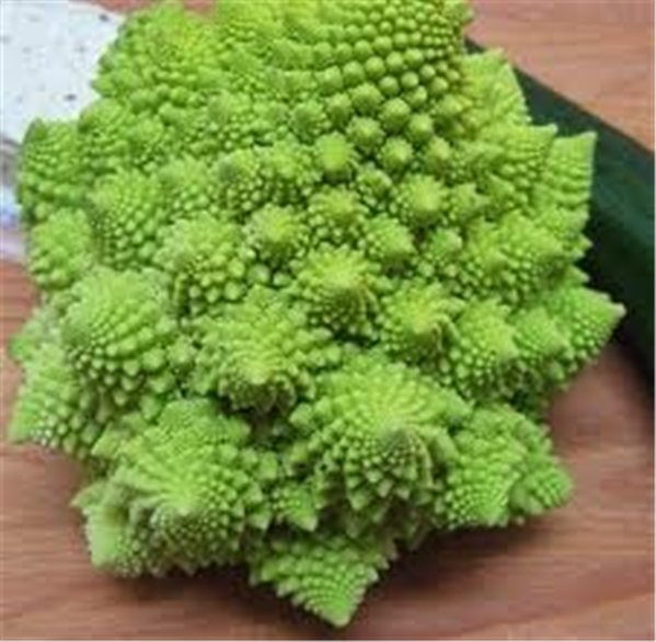 La traducción de "ROMANESCO UNIDAD" al inglés es "ROMANESCO UNIT".-detalle