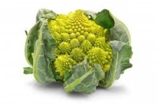 La traducción de "ROMANESCO UNIDAD" al inglés es "ROMANESCO UNIT".-lateral