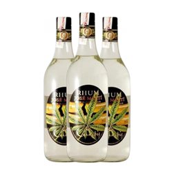 Ron José Martí 1 L Cannabis (Caja de 3 unidades)