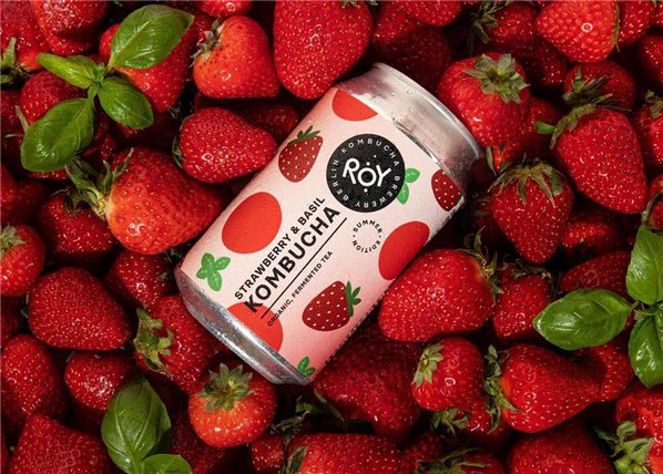 ROY Kombucha biologique à la fraise et au basilic en canette de 330ml.-detalle