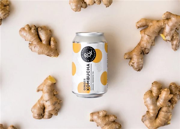 ROY Kombucha ecológica Jengibre lata 330ml-detalle