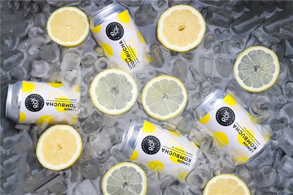 ROY Bio-Kombucha Zitrone Dose 330ml-trasera