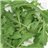 ARUGULA FLORETTE-detalle