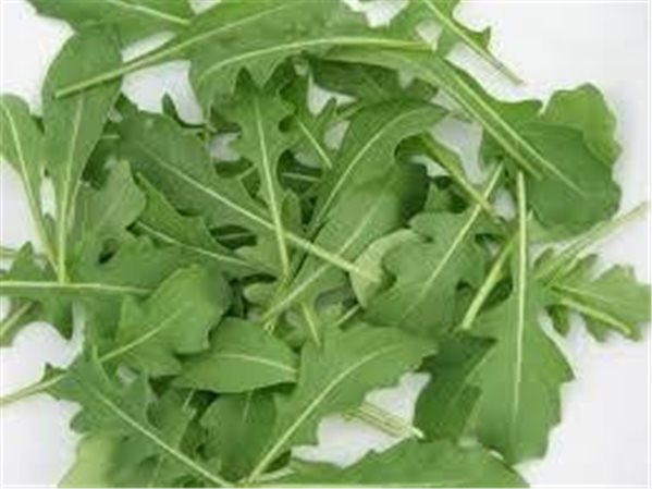 ARUGULA FLORETTE-detalle