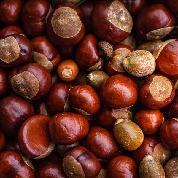 Sac de 1kg de châtaignes-lateral
