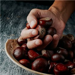 Sac de 1kg de châtaignes