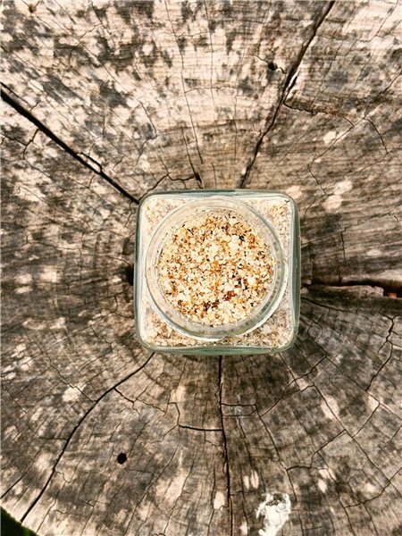 FOREST SALT 115g With organic Boletus-detalle