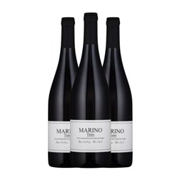 Salvajes de Gredos Marino Garnacha Vinos de Madrid 75 cl Vino Tinto (Caja de 3 unidades)