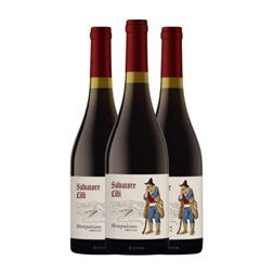 Salvatore Lilli Montepulciano d'Abruzzo 75 cl Vino Tinto (Caja de 3 unidades)