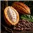 Samskara Granos de Cacao Orgánico Crudo | 250g | Cacao Natural Sin Tostar, Sin Azúcar ni Aditivos | Ideal para Chocolate, Repostería, Smoothies y Snacks-detalle