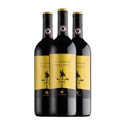 San Leonino Al Limite Sangiovese Trocken — Seco Chianti Classico — Clásico 75 cl Vino Tinto (Caja de 3 unidades)