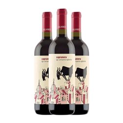 San Salvatore 1988 Capranera Aglianico 75 cl Vino Tinto (Caja de 3 unidades)