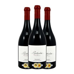 San Valero Particular Garnacha Cariñena Cepas Centenarias 75 cl Vino Tinto (Caja de 3 unidades)