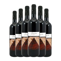 San Valero Particular Garnacha Cariñena Old Vines — VV Viñas Viejas Joven 75 cl Vino Tinto (Caja de 6 unidades)