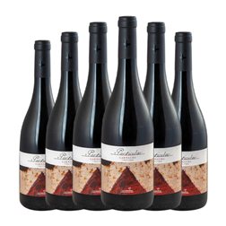 San Valero Particular Garnacha Cariñena VV Viñas Viejas 75 cl Vino Tinto (Caja de 6 unidades)