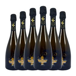 San Valero Particular Garnacha Cava Blanc de Noirs 75 cl Espumoso Blanco (Caja de 6 unidades)