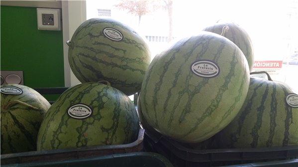 SANDIA RALLADA MEDIANA-detalle