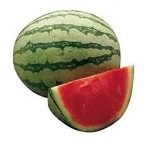 SANDIA RALLADA MEDIANA-trasera