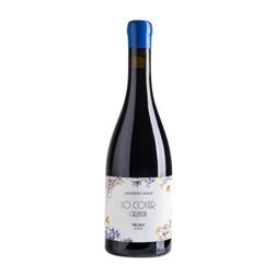 Sangenís i Vaqué Lo Coster Cariñena Priorat 75 cl Vino Tinto