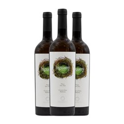 Santa Catarina Nguany Vi de la Terra de Mallorca 75 cl Vino Blanco (Caja de 3 unidades)