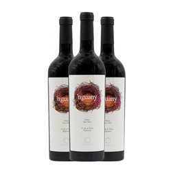 Santa Catarina Nguany Vi de la Terra de Mallorca 75 cl Vino Tinto (Caja de 3 unidades)