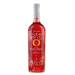 Santa Digna Reserva Cabernet Rosado 2025

Santa Digna Reserve Cabernet Rosé 2025