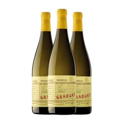 Sapere Aude Graduat Macabeo Penedès 75 cl Vino Blanco (Caja de 3 unidades)