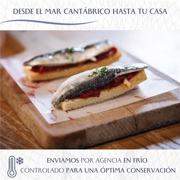 Sardinas Marinadas Artesanales | 22-28 Sardinas con Sabor Único y Textura Suave (500gr) | Elaborado por Casa Santoña-trasera